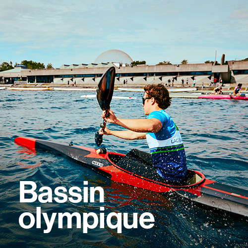 Bassin olympique