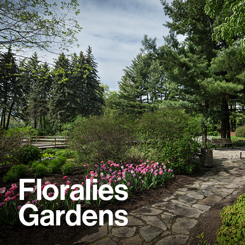 Floralies Gardens