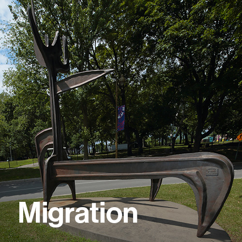 Migration