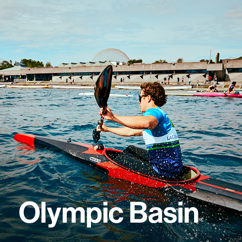 Olympic Basin