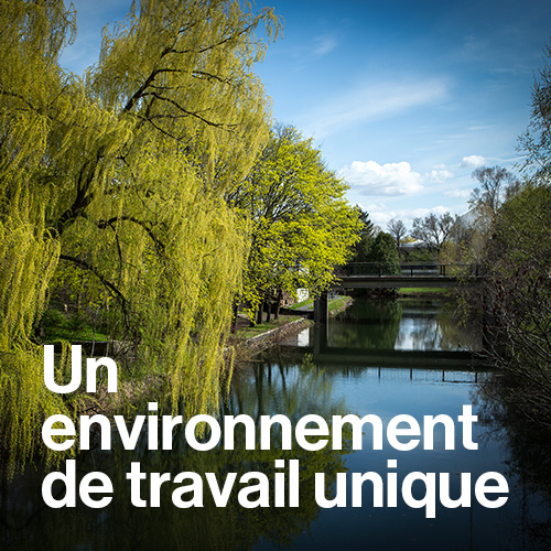 Un environnement de travail unique
