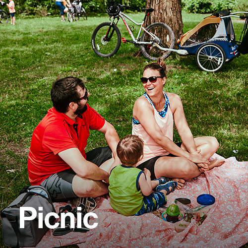 Picnic