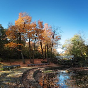 Quoi faire à Montréal en automne : randonnée pédestre au parc Jean-Drapeau